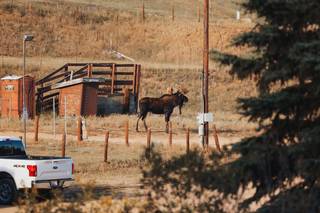 Mountain View Ranch by Wedgewood Weddings - 45