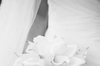 Tom Forrest Photography - 50