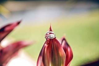 mai banh photography - 7