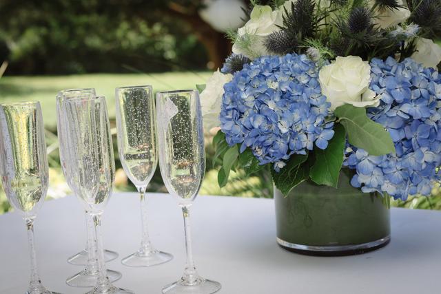 Michelle Dunham Photography - 4