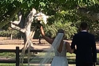 Walnut Grove At Tierra Rejada Farm - 13