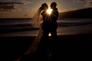 Penny Palmer Photography - 42