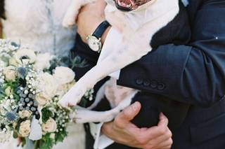 Ashley Cox Photography - 29