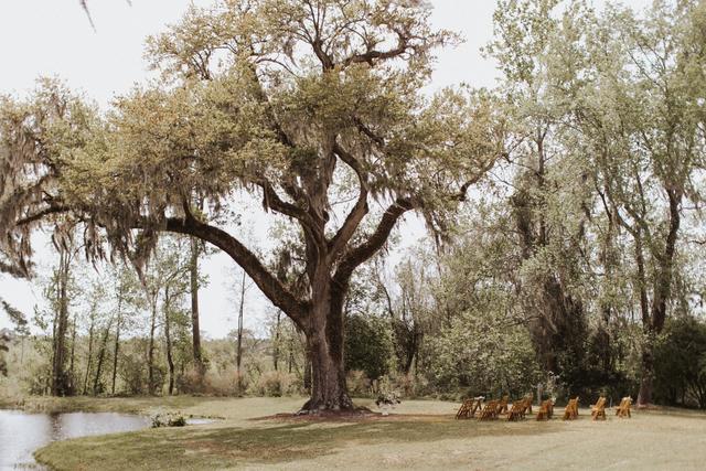 Hyde Park Farm & Polo Club - 4