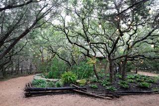 Triple T Photography - 7