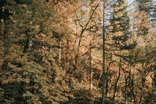 Bailey Batishev Photography - 94