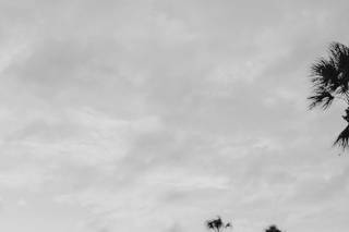 Alisa Sue Photography - 15