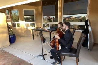 Magnolia Strings - 16