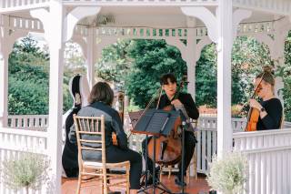 Apollo Chamber Music - 10