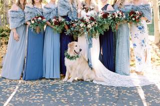 Dani Cowan Photography - 8