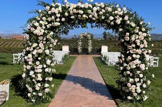 Lovely Peonies - 35