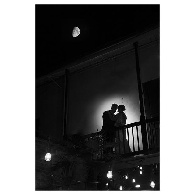 Bayou Rose Photography - 1