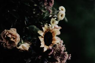 Addison Jones Photography - 6