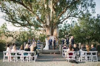 Yvonne Goll Photography - 11