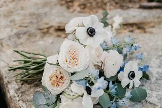 Springvine Design - 34