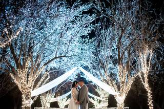 The Grove - 17