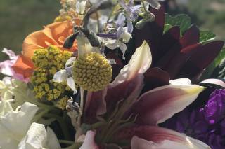 Rocky Mountain Weddings - 9