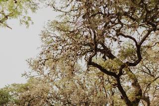 Julia Hitz Photography - 45