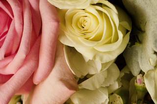 Blossoms and Bouquets by Sherri - 8
