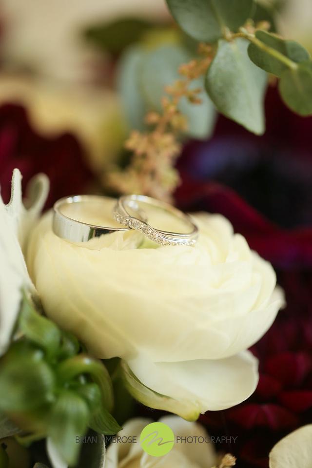 Brian Ambrose Photography - 2