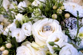 Dave & Liz Jarosz Photography - 34