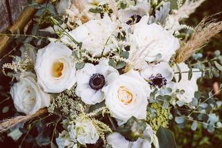 Stargazers Designs - 70