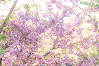 JD Photography, LLC - 16