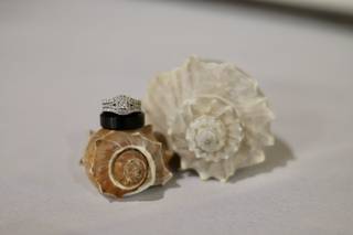 Jill Beswick Photography - 19
