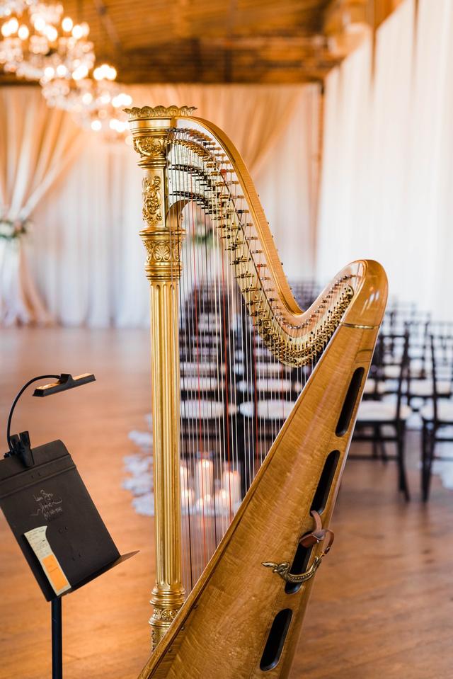 Laura Byrne Harpist - 2