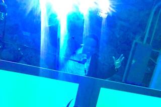 Spinnz Entertainment - 8