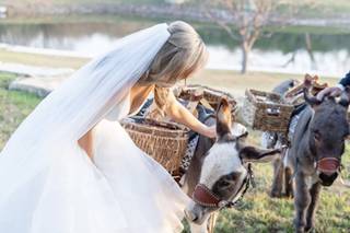Tara Williams Photography - 8