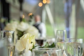 Jeffrey Foote Photography - 36