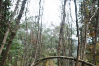 Whitetail Resort - 6