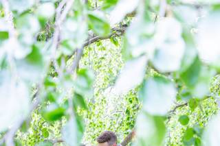 Happy Little Life Photography - 16