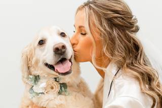 Stephanie lynne photography LLC - 12