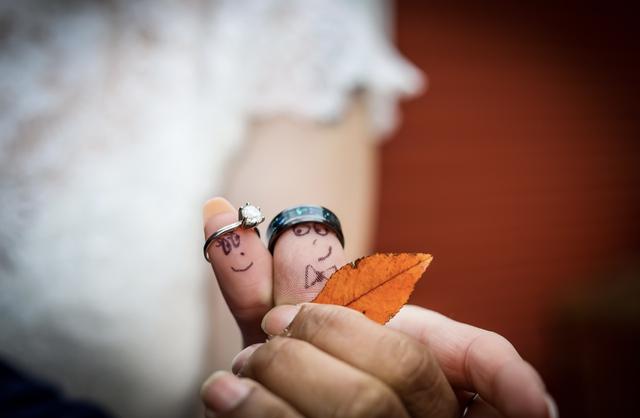 Amanda Bergeron Photography - 1