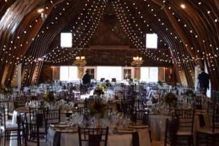 Holden Michael Events - 17