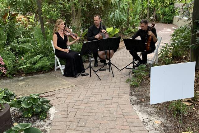 The Vanderbilt Strings 2