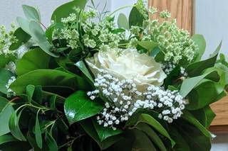 Great Expectations Flowers - 6