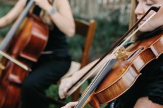 Cobalt Strings - 20