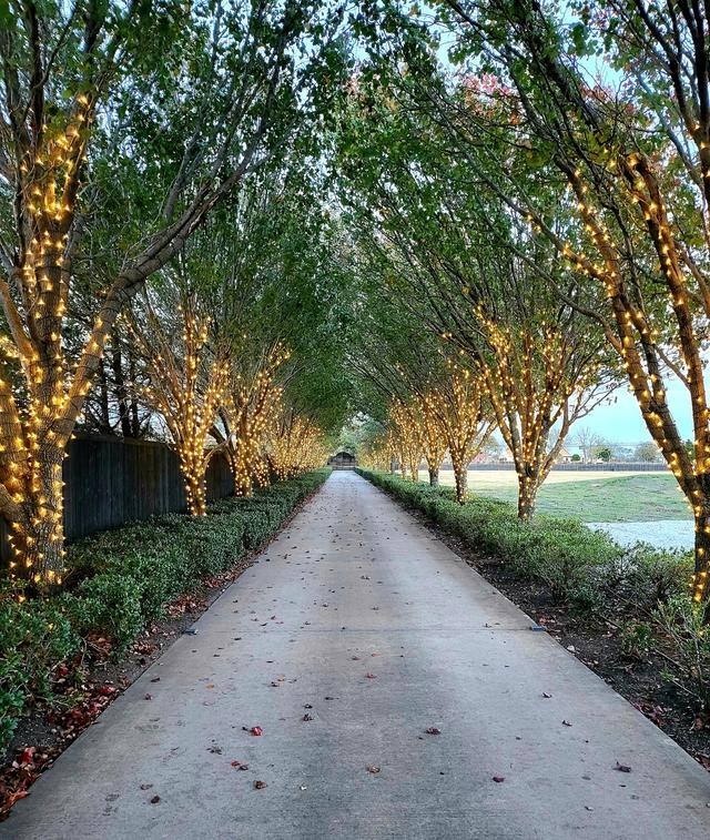 Dallas Oasis - 1