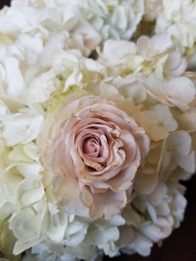 My Arrangements Inspired by Lola Rose - 2