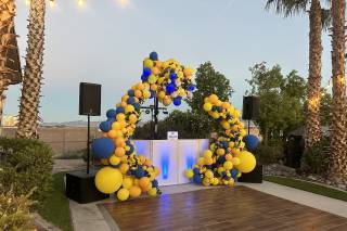 Music In Motion DJ Entertainment - 16