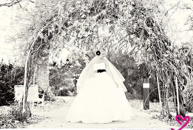 Heather Sanderson Photography - 3