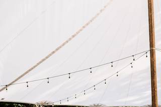 Jennifer Tolento Events - 18