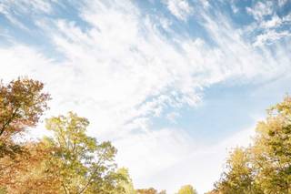 Diane Kivler Photography, LLC - 7