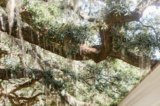 Izzy Hudgins Photography - 11