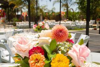 Touch Of Elegance - 47