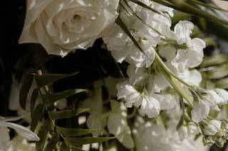 Alta Fleura - 33
