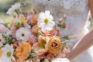 The Painted Primrose - 11